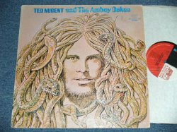 画像1: TED NUGENT and The AMBOY DUKES - TED NUGENT and The AMBOY DUKES ( VG+++/Ex++ )  / 1976  US AMERICA  ORIGINAL  Used  LP 