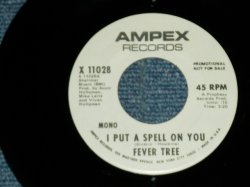 画像1: FEVER TREE - I PUT A SPEL ON YOU : PROMO Only Same Flip MONO-STEREO  ( Ex+++/Ex+++)   / 1970 US AMERICA ORIGINAL "WHITE Label PROMO : Same Flip" Used  7" Single 