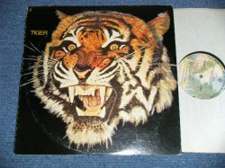 画像1: TIGER - TIGER (BIG JIM SURRIVAN!!! Bluesy & Heavy British Rock)  (Ex+/MINT-)  / 1976 US AMERICA ORIGINAL Used LP