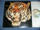 TIGER - TIGER (BIG JIM SURRIVAN!!! Bluesy & Heavy British Rock)  (Ex+/MINT-)  / 1976 US AMERICA ORIGINAL Used LP