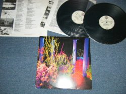 画像1: HUSKER DU -  DON'T WANT TO KNOW IF YOU ARE LONELY  ( Ex+Ex+)   / 1987 GERMAN GERMANY ORIGINAL "180 Gram Heavy Weight" Used 2-LP's 