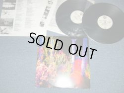 画像1: HUSKER DU -  DON'T WANT TO KNOW IF YOU ARE LONELY  ( Ex+Ex+)   / 1987 GERMAN GERMANY ORIGINAL "180 Gram Heavy Weight" Used 2-LP's 