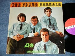 画像1: THE YOUNG RASCALS -THE YOUNG RASCALS (Matrix # A-12359-AA  LW AT △9085 / A-12360-AA  LW AT △9085-x ) ( Ex/Ex++ Looks:Ex+ ) / 1966 US AMERICA ORIGINAL "RED & PLUM(PURPLE)  LABEL"  MONO Used   LP 