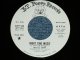 MAJIC SHIP - NIGHT TIME MUSIC : GREEN PLANT ( Ex++/Ex++ ）/ Late 1960's  US AMERICA ORIGINAL "WHITE LABEL PROMO" Used 7"Single 
