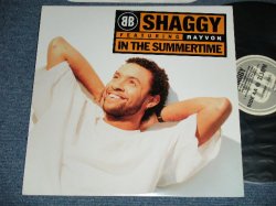 画像1: SHAGGY - IN THE SUMMERTIME  ( MINT-/MINT-) /  1995  US AMERICA  ORIGINAL Used 12" 