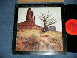 画像1: NEW RIDERS OF THE PURPLE SAGE - GYPSY COWBOY ( Ex-/Ex+++ B-5:Ex+) / 1972 US AMERICA ORIGINAL Used  LP 