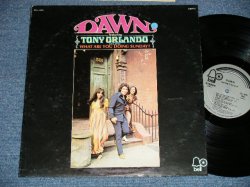 画像1: DAWN featuring TONY ORLANDO  - DAWN : Including WHAT ARE YOU DOING SUNDAY? ( Ex+/Ex+++) / 1974? US AMERICA ORIGINAL Used  LP 