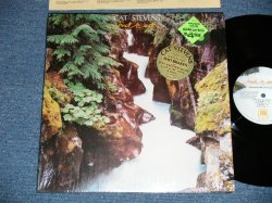 画像1: CAT STEVENS - BACK TO EARTH ( MINT-/MINT-) / 1978 US AMERICA ORIGINAL Used LP 