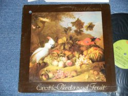 画像1: PROCOL HARUM - EXOTIC BIRDS AND FRUIT ( Ex+/Ex+++  BB ) / 1974 US AMERICA  ORIGINAL 1st Press "GREEN Label" "BB Hole For PROMO" Used LP