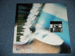 画像1: R.E.M. - BANG AND BLAME (SEALED : Cut Out ) / 1994 US ORIGINAL "Brand New Sealed" 12" EP 