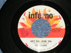 画像1: THE VOLUMES - AIN'T THAT LOVIN' YOU : I LOVE YOU BABY( NORTHERN SONGS)  ( Ex++/Ex++ )  / 1967 US AMERICA ORIGINAL  ORIGINAL Used 7"  Single
