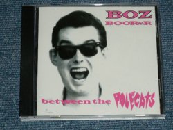 画像1: BOZ BOORER - BETWEEN THE POLECATS  ( NEW  )  /  2001 UK ENGLAND  ORIGINAL EU Press  "BRAND NEW" CD 