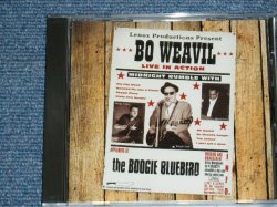 画像1: BO WEAVIL - MIDNIGHT RUMBLE WITH   ( NEW  )  /  2001 FRANCE  ORIGINAL "BRAND NEW" CD 