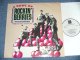 ROCKIN' BERRIES - THE BEST OF : ABOWL OF ( NEW ) / 1988 UK ENGLAND ORIGINAL "BRAND NEW" LP 