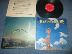 画像1: IT'S A BEAUTIFUL DAY - IT'S A BEAUTIFUL DAY (Matrix # A)XSM-138933-1B /B)XSM-138934-1B )  ( Ex+/Ex+++,Ex++ : EDSP ) / 1969 US AMERICA ORIGINAL "360 SOUND Label" Used LP 