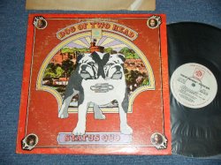 画像1: STATUS QUO -  DOG OF TWO HEAD  ( VG+++/Ex++ : Heatwarp ) / 1972 US AMERICA ORIGINAL Used LP 