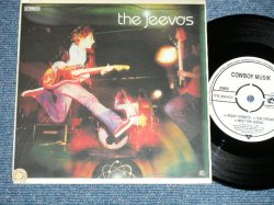 画像1: The JEEVAS - SCARY PARENTS  ( Ex+++/Ex+++ )  / 2002  UK ENGLAND ORIGINAL Used 7"  Single with PICTURE SLEEVE 