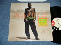 画像1: SHINEHEAD - TRODDIN'  ( MINT/MINT- ) /  1994  US AMERICA  ORIGINAL Used LP