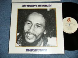 画像1: BOB MARLEY & The WAILERS - JAMAICA STORM ( MINT/MINT) / 1982 US AMERICA ORIGINAL Used LP 