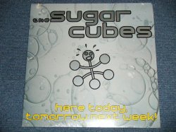 画像1: THE SUGARCUBES (BJORK Björk) - HERE TODAY,TOMORROW NEXT WEEK ( SEALED) / 1989 US AMERICA ORIGINAL "BRAND NEW SEALED" 2-LP's 