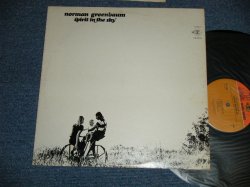 画像1: NORMAN GREENBAUM - SPIRIT IN THE SKY ( MATRIX #    A) 30951 RS 6365-A 1A      B) 30951 RS 6365-B 1A)  ( Ex+/Ex+++ Looks:Ex+) / 1969 US AMERICA ORIGINAL 1st Press "ORANGE & BROWN  Label"  Used LP 