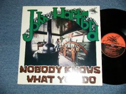 画像1: JOHN HARTFORD - NOBODY KNOWA WHAT YOU DO  ( Ex+++/Ex+++ ) / 1976 US AMERICA ORIGINAL Used LP 