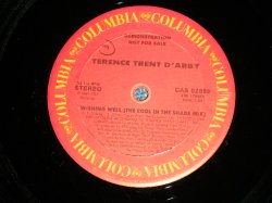 画像1: TERENCE TRENT D'ARBY - WISHING WELL  ( Ex+++/MINT-)  / 1987 US AMERICA ORIGINAL "PROMO ONLY" Used 12" 