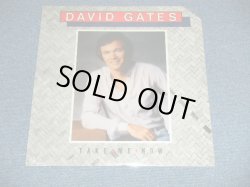 画像1: DAVID GATES (of BREAD ) - TAKE ME NOW ( SEALED : Cut Out )  / 1981  US AMERICA Original  "BRAND NEW SEALED" LP 