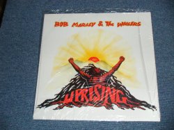 画像1: BOB MARLEY & The WAILERS -  UPRISING ( SEALED) / UK ENGLAND  Reissue "BRAND NEW SEALED" LP