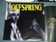 OFFSPRING -THE OFFSPRING ( Ex+++/MINT )   / 1995 US AMERICA  "REISSUE Version"  Used LP 