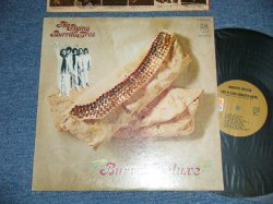 画像1: The FLYING BURRITO BROS  - BURRITO DELUXE( Ex++/Ex+++ )   / 1970 US AMERICA  ORIGINAL 1st Press "BROWN LABEL" Used  LP 