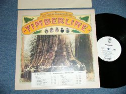 画像1: TIMBER LINE - THE GREAT TIMBER RUSH  ( Ex+/MINT- ) / 1977 US AMERICA ORIGINAL "WHITE LABEL PROMO" Used LP 