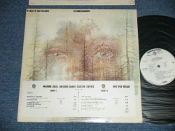 画像1: TURLEY RICHARDS - EXPRESSIONS (Ex+++/MINT- )   / 1971 US AMERICA " WHITE LABEL PROMO" Used LP 