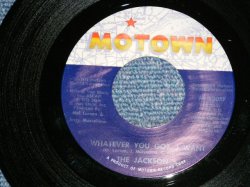 画像1: JACKSON 5 FIVE - WHATEVER YOU GOT, I WANT : I CAN'TV QUIT YOUR LOVE ( Ex+++/Ex+++ )   / 1974 US AMERICA ORIGINAL Used  7" Single 