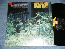 画像1: BABY RAY - WHERE SOUL LIVES ( Ex+++/Ex++ ) / 1967 US AMERICA ORIGINAL MONO Used LP 