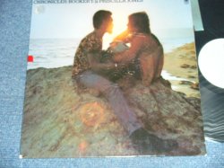画像1: BOOKER T. & PRISCILLA JONES - CHRONICLES / 1973 US ORIGINAL White Label PROMO Used LP 