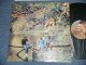 WINGS PAUL McCARTNEY of THE BEATLES  - WILD LIFE  ( Matrix #A)1 1 /B)1)  (Ex++/Ex+++ Looks:Ex++) / 1971 UK ENGLAND  ORIGINAL Used  LP