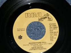 画像1: DAVE DAVIS of THE KINKS - IMAGINATION REAL : WILD MAN  (MINT-/MINT- )  / 1980  US AMERICA  ORIGINAL "PROMO"  Used 7" Single 