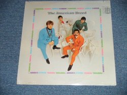 画像1: The AMERICAN BREED - PUMPKIN, POWDER, SCARLET & GREEN   (SEALED : Cut Out) / 1968 US AMERICA  ORIGINAL  "Brand New SEALED" LP