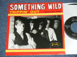 画像1: SOMETHING WILD - TRIPPIN' OUT :SHE'S KINDA WEIRED   ( NEW ) /  1998  US AMERICA Limited "Brand New" 7"45 Single  with PICTURE SLEEVE  
