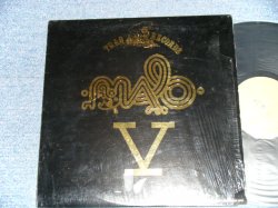画像1: MALO  - V  (MINT/MINT- )  / 1981  US AMERICA  ORIGINAL Used LP 