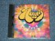V.A. OMNIBUS  -  More NUGGETS Vol.2  A Classic Collection from the Psychedelic Sixies  (MINT-/MINT)  / 1990 US AMERICA ORIGINAL Used CD 