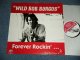 WILD BOB BURGOS - FOREVER ROCKIN'  (NEW)  / 1993 GERMAN ORIGINAL "BRAND NEW"  LP