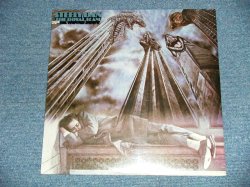 画像1: STEELY DAN - THE ROYAL SCAM(SEALED Cut Out)  / 1976 US AMERICA ORIGINAL? "BRAND NEW SEALED" LP 