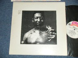 画像1: MUDDY WATERS - AFTER THE RAIN ( Ex+/MINT-. Ex+++ Looks:Ex) / 1969 US AMERICA ORIGINAL  Used LP 
