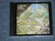 BRIAN AUGER'S OBLIVION EXPRESS - A BETTER LAND   ( SEALED ) / 1996 US AMERICA ORIGINAL "BRAND NEW SEALED" CD