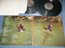 画像1: MIKE OLDFIELD - THE COMPLETE  (MINT-/MINT ) / 1985 UK ENGLAND  ORIGINAL Used 2-LP 