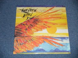 画像1: AMERICAN FLYER (ERIC & STEVE KAZ,CRAIG FULLER, DOUG YULE, Prod by GEORGE MARTIN) - AMERICAN FLYER (Sealed  Cut Out ) / 1976 US AMERICA ORIGINAL "BRAND NEW SEALED"  LP 