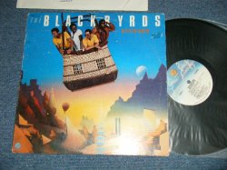 画像1: BLACKBYRDS -  BETTER DAYS ( Ex/Ex+++) / 1980 US AMERICA ORIGINAL ”PROMO” Used LP 