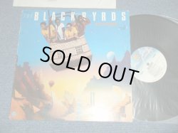 画像1: BLACKBYRDS -  BETTER DAYS ( Ex/Ex+++) / 1980 US AMERICA ORIGINAL ”PROMO” Used LP 